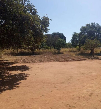 5-acre-land-for-sale-in-new-kasama-big-0