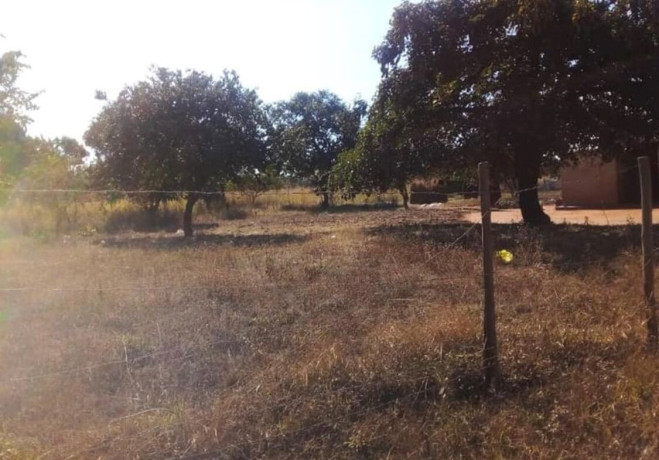 5-acre-land-for-sale-in-new-kasama-big-4