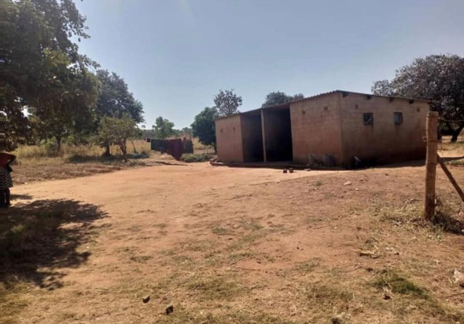 5-acre-land-for-sale-in-new-kasama-big-2