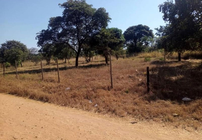 5-acre-land-for-sale-in-new-kasama-big-3