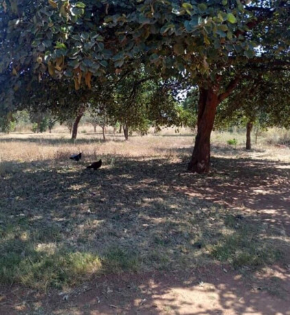 5-acre-land-for-sale-in-new-kasama-big-5