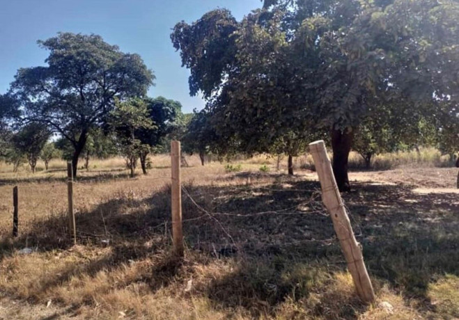 5-acre-land-for-sale-in-new-kasama-big-1
