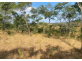 plot-for-sale-in-njolwe-small-1