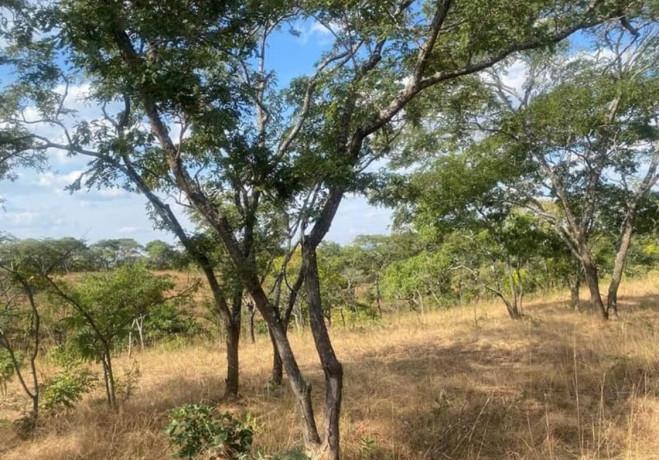 plot-for-sale-in-njolwe-big-2