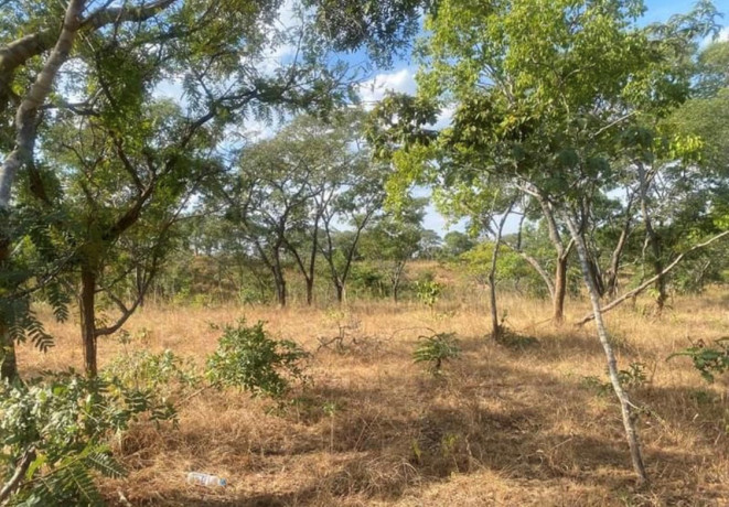 plot-for-sale-in-njolwe-big-3