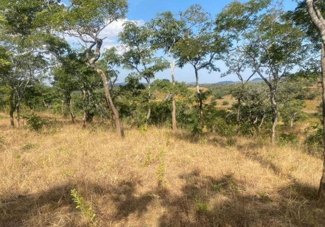 plot-for-sale-in-njolwe-big-1