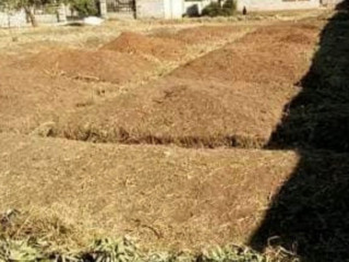 plot-for-sale-in-lilayi