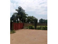 3-bedroom-house-for-rent-in-makeni-small-6