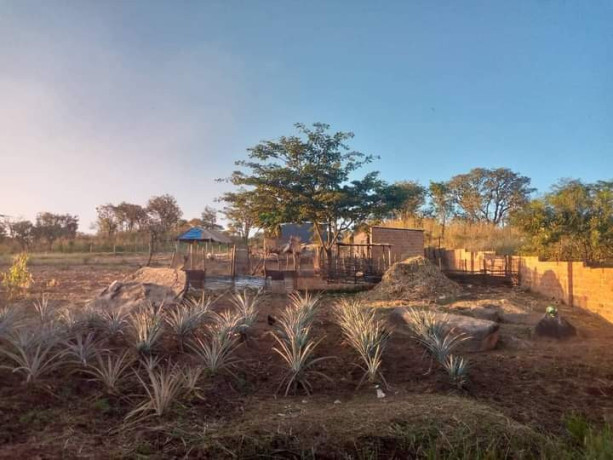 property-for-sale-in-solwezi-big-4