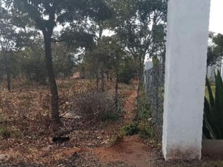 plot-for-sale-in-new-kasama