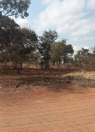 plot-for-sale-in-new-kasama-big-3