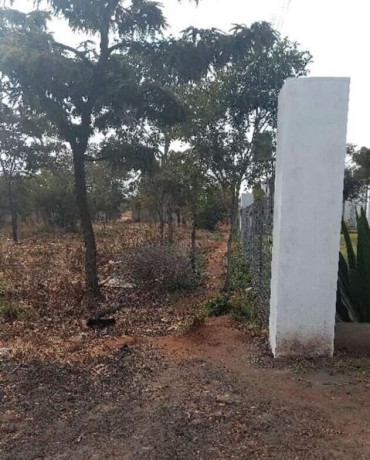 plot-for-sale-in-new-kasama-big-0