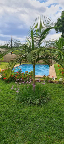 luxurious-4-bedroom-house-in-livingstone-big-2