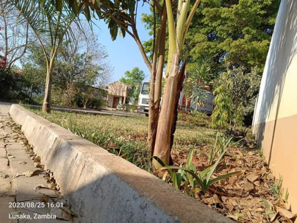 modern-2-by-4-bedroom-flats-for-sale-in-ibex-hill-main-big-0