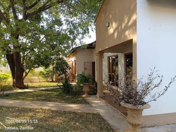 modern-2-by-4-bedroom-flats-for-sale-in-ibex-hill-main-big-5