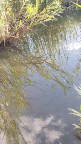 76-hectares-farm-land-for-sale-in-masaiti-big-2