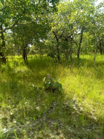 200-hectares-farm-land-for-sale-in-ndola-big-0