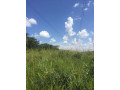 1324-hectares-farm-land-for-sale-in-ndola-small-2