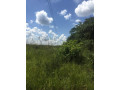 1324-hectares-farm-land-for-sale-in-ndola-small-1