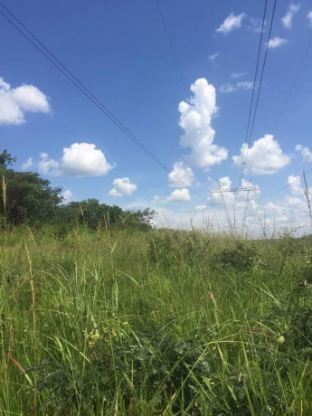 1324-hectares-farm-land-for-sale-in-ndola-big-2