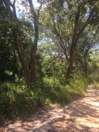 1324-hectares-farm-land-for-sale-in-ndola-big-4