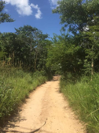 1324-hectares-farm-land-for-sale-in-ndola-big-5