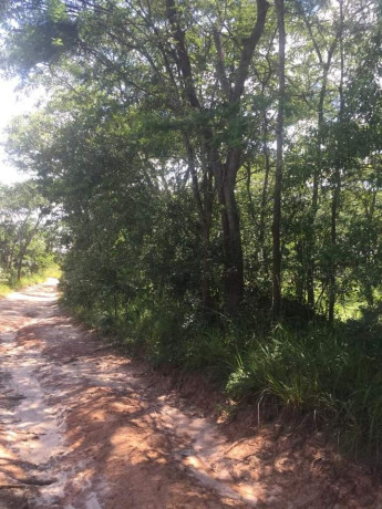 1324-hectares-farm-land-for-sale-in-ndola-big-3