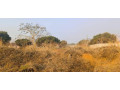 plot-for-sale-in-ibex-hill-small-4