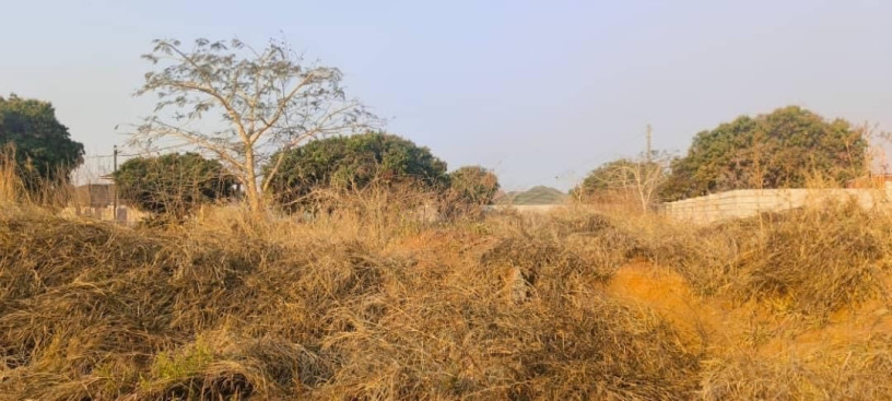 plot-for-sale-in-ibex-hill-big-4