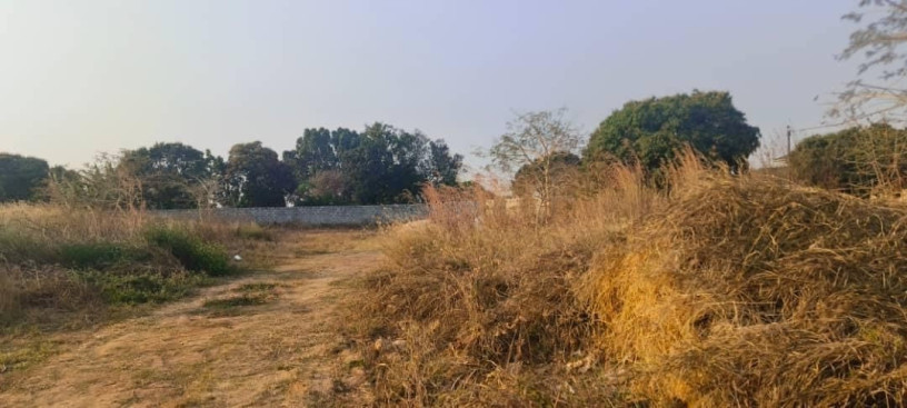 plot-for-sale-in-ibex-hill-big-3