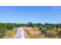71-acre-plot-for-sale-in-bonanza-small-5
