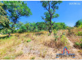 71-acre-plot-for-sale-in-bonanza-small-2