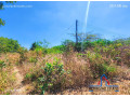 71-acre-plot-for-sale-in-bonanza-small-3