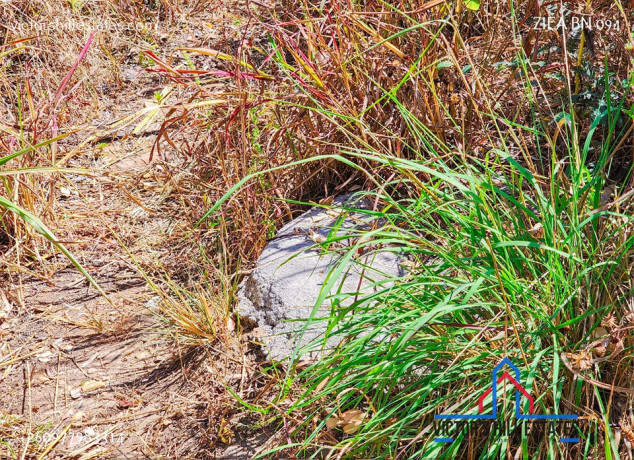 71-acre-plot-for-sale-in-bonanza-big-4