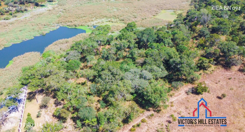 71-acre-plot-for-sale-in-bonanza-big-6