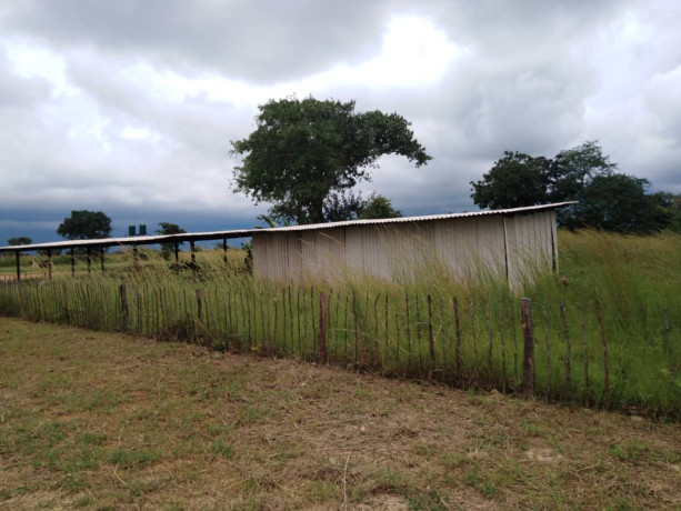 10-acres-of-land-for-sale-in-ngwerere-ring-road-big-3