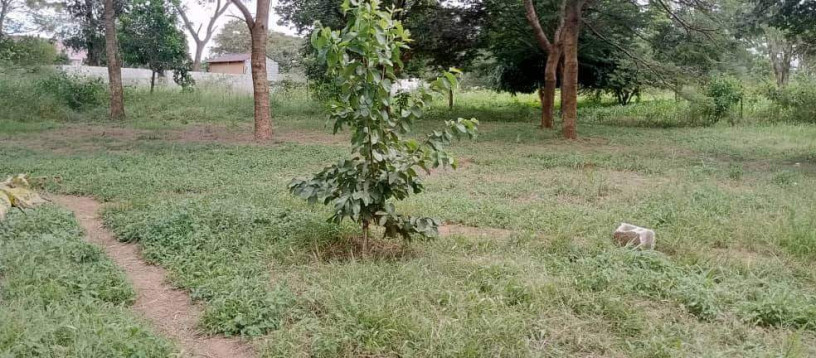 plot-for-sale-in-state-lodge-big-0