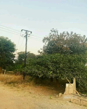 45-acres-of-land-for-sale-in-foxdale-big-1