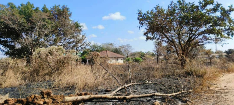 3-plots-for-sale-in-ibex-meanwood-big-2