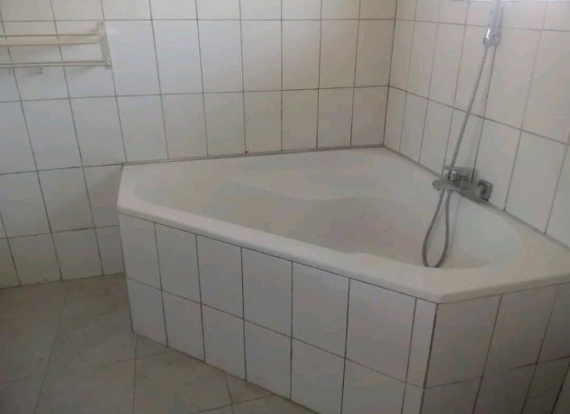 4-bedroom-flat-for-rent-in-avondale-big-7