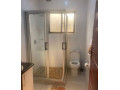 1-bedroom-apartment-for-rent-in-roma-small-8