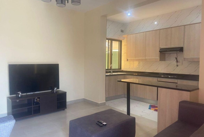 1-bedroom-apartment-for-rent-in-roma-big-5