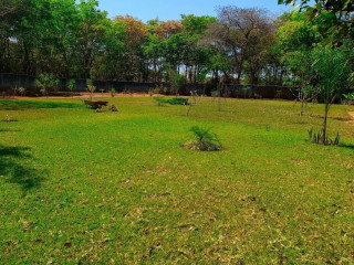 2-bedroom-apartment-for-rent-in-chamba-valley