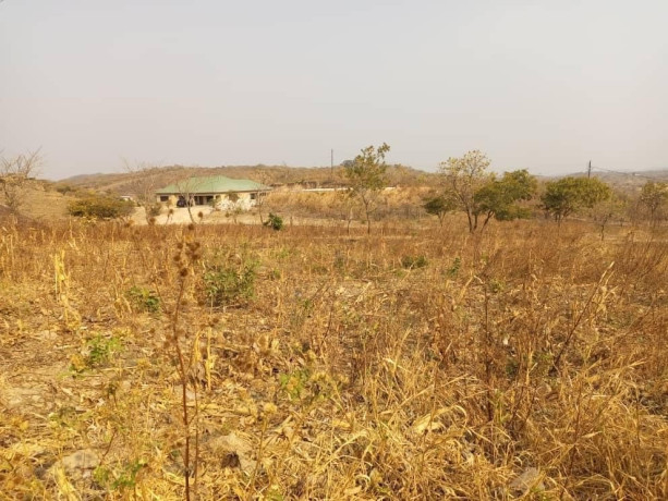 1-acre-plot-for-sale-in-silverest-big-0