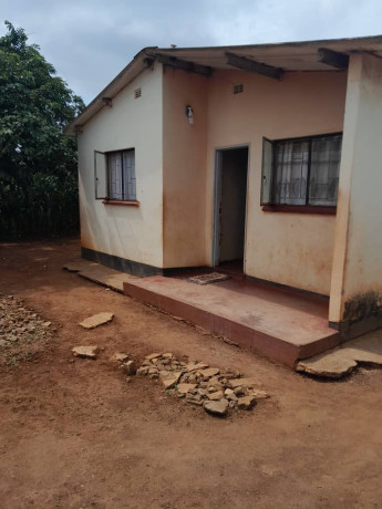 3-and-2-bedroom-free-stands-in-the-same-yard-big-3