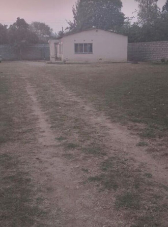 3-bedroom-house-for-rent-in-avondale-big-3