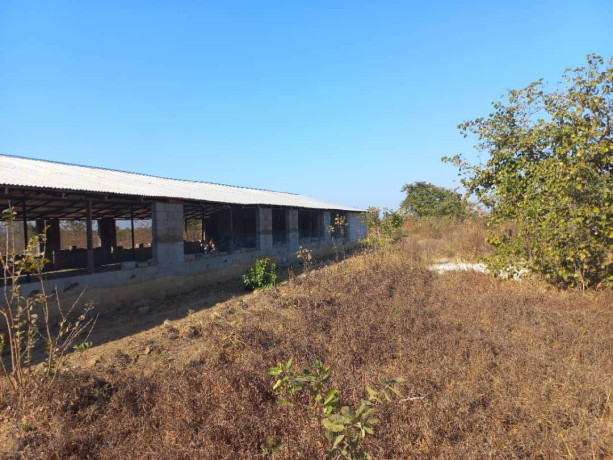 farm-land-for-sale-in-10-miles-big-3