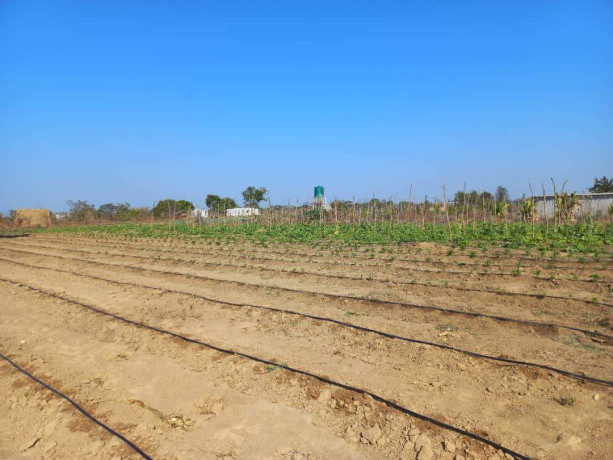 farm-land-for-sale-in-10-miles-big-6