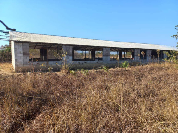 farm-land-for-sale-in-10-miles-big-1