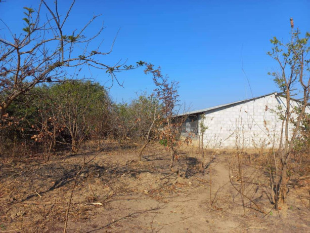 farm-land-for-sale-in-10-miles-big-8